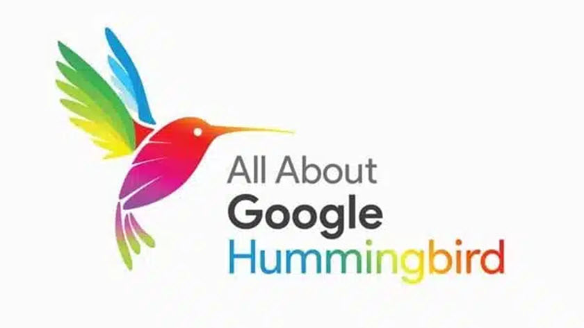 Google HummingBird là gì?