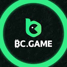 Exploring the Excitement of Mirror BC.Game